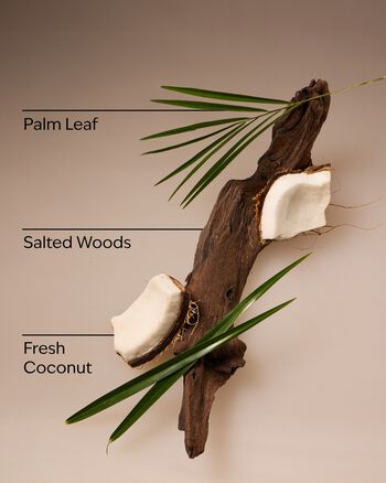 Coconut Nectar Travel Size Smooth & Soothe Body Cream Travel Size Smooth & Soothe Body Cream