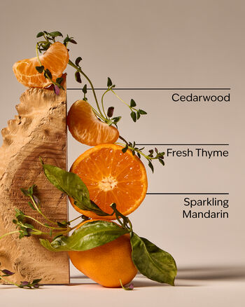 Kitchen Mandarin Cleansing Gel Hand Soap 潔手凝膠洗手液