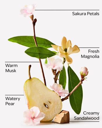 Forever Cherry Blossom 3-Wick Candle 三芯蠟燭