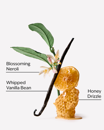 Whipped Honey & Vanilla Hanging Fragrance Diffuser Hanging Fragrance Diffuser