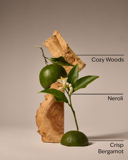 Book Loft Fine Fragrance Mist image number null