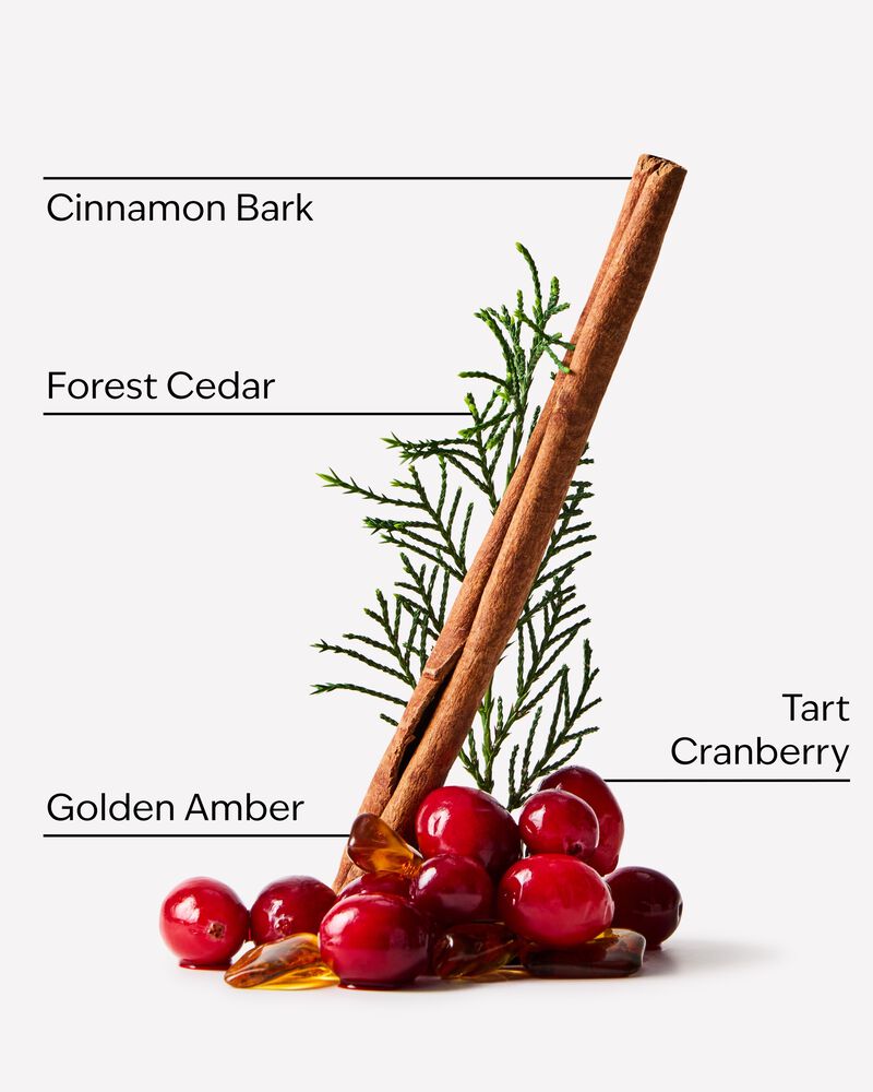 Cranberry Woods 3-Wick Candle 三芯蠟燭