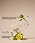 White Tea & Sage Gentle & Clean Foaming Hand Soap image number null
