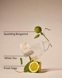 White Tea & Sage Gentle & Clean Foaming Hand Soap image number null