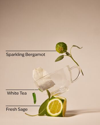 White Tea & Sage Gentle & Clean Foaming Hand Soap Gentle & Clean Foaming Hand Soap