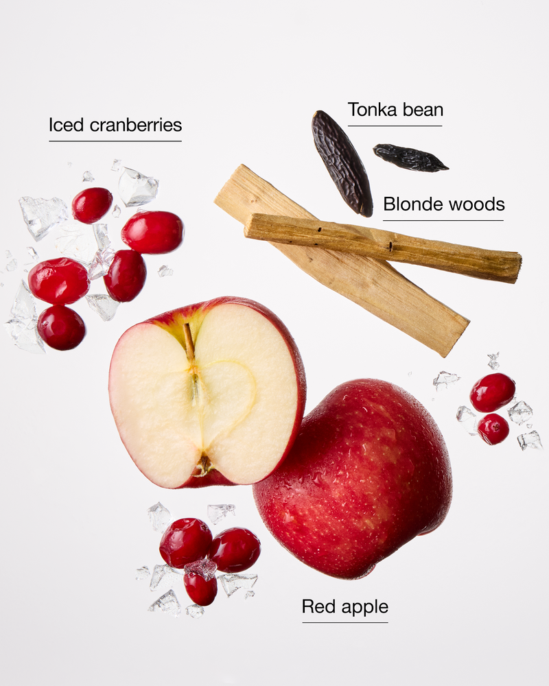 Frosted Cranberry Single Wick Candle Single Wick Candle