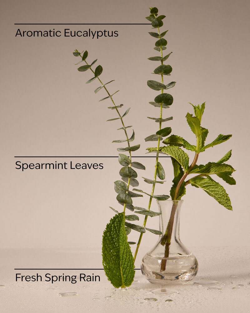 Eucalyptus Rain PocketBac Hand Sanitizer PocketBac搓手液