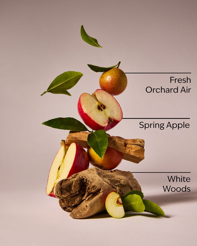 Blue Orchard Skies 3-Wick Candle 三芯蠟燭