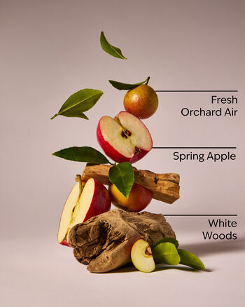 Blue Orchard Skies 3-Wick Candle 三芯蠟燭