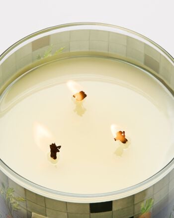Carrot & Nectarine 3-Wick Candle 三芯蠟燭