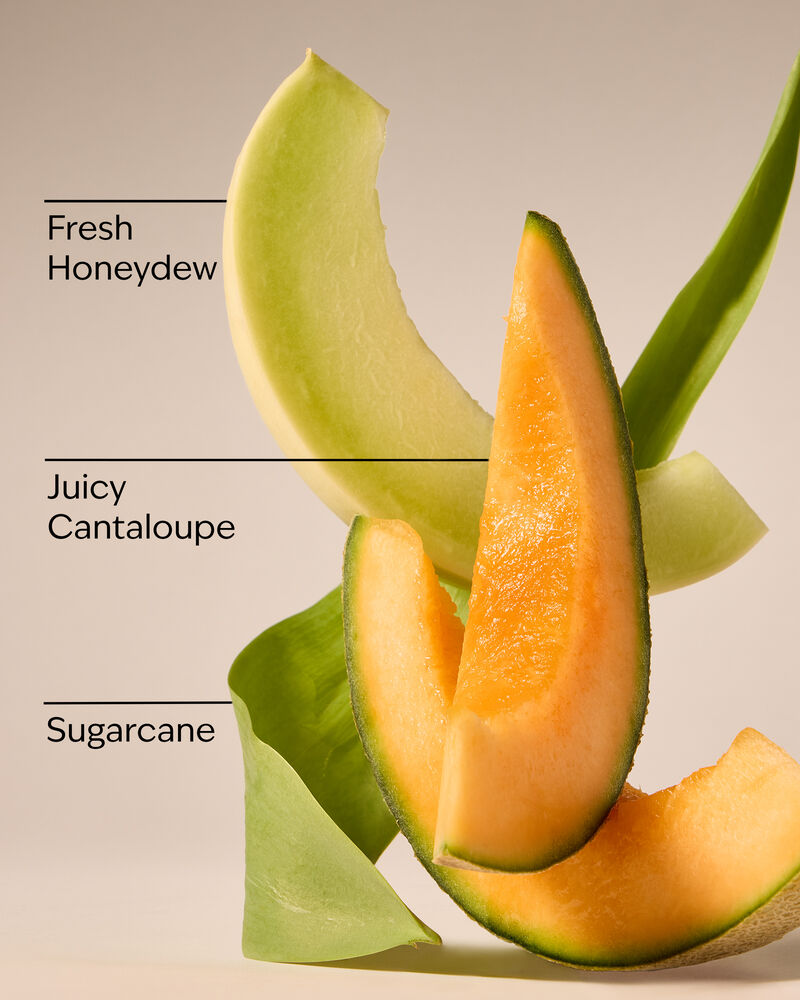 Melon Slice Wallflowers Fragrance Refill 香氛補充液