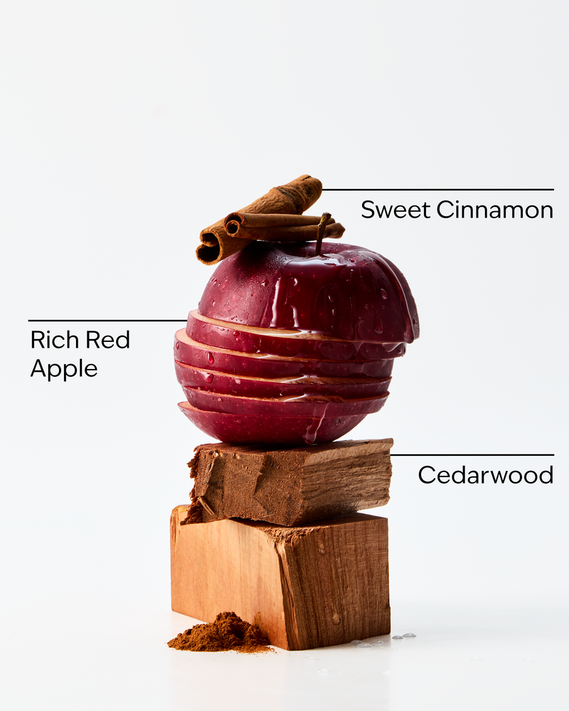 Tis The Season Cleansing Gel Hand Soap 凝膠洗手液