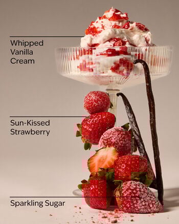 Strawberry Lover Wallflowers Fragrance Refill Wallflowers Fragrance Refill