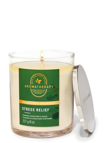Eucalyptus Spearmint Signature Single Wick Candle 招牌單芯蠟燭