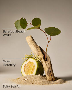 Ocean Town Bound Wallflowers Fragrance Refill image number null