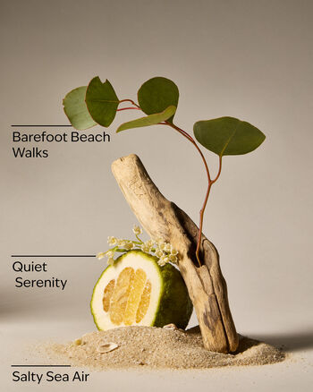 Ocean Town Bound Wallflowers Fragrance Refill 香氛補充液