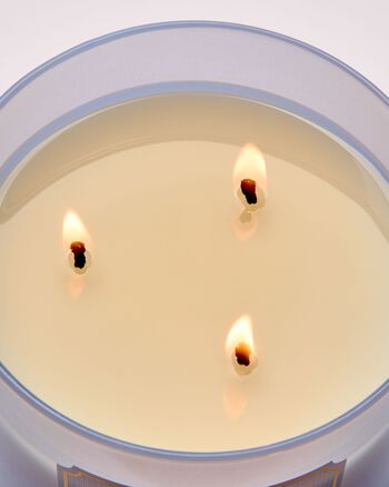 Violet & Musk 3-Wick Candle 三芯蠟燭