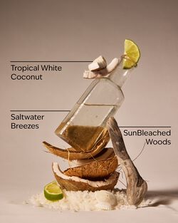 Waikiki Beach Coconut Moisturizing Body Wash image number null