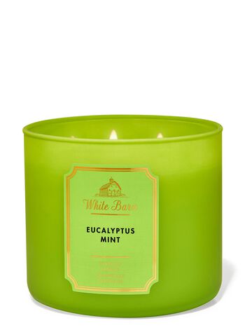 Eucalyptus Mint 3-Wick Candle 三芯蠟燭