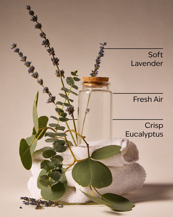 Laundry Day Wallflowers Fragrance Refill 香氛補充液
