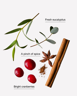 Cranberry & Eucalyptus Concentrated Room Spray