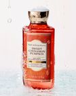 Sweet Cinnamon Pumpkin Body Wash image number null