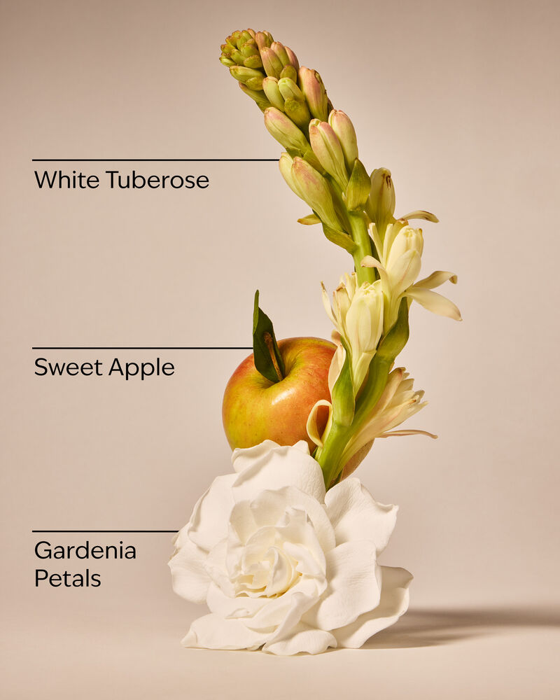 White Gardenia 3-Wick Candle 三芯蠟燭