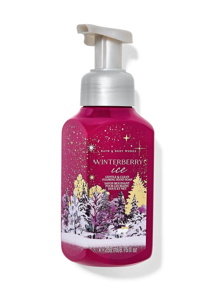 Winterberry Ice Gentle & Clean Foaming Hand Soap 溫和泡泡潔手液
