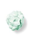 Vanilla Bean Noel Shapeable Soap image number null