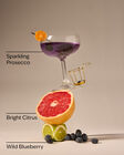 Blueberry Bellini Gentle & Clean Foaming Hand Soap image number null