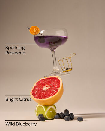 Blueberry Bellini Gentle & Clean Foaming Hand Soap 溫和泡泡潔手液
