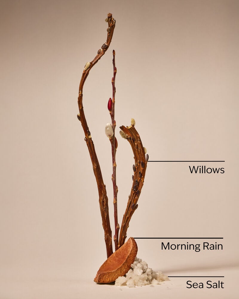 Rainfall Cleansing Gel Hand Soap 凝膠洗手液