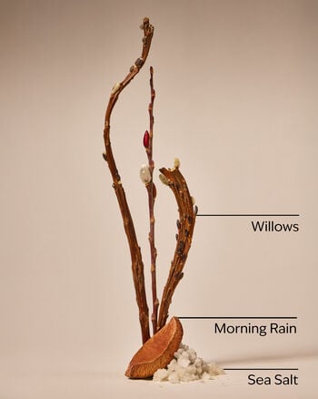 Rainfall Cleansing Gel Hand Soap 凝膠洗手液