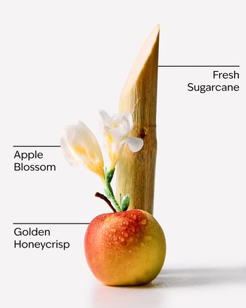 Honeycrisp Apple 3-Wick Candle 三芯蠟燭