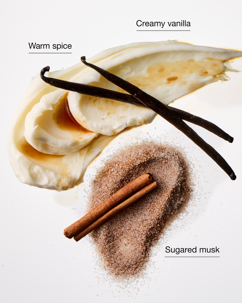Sugared Snickerdoodle 3-Wick Candle 三芯蠟燭
