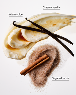 Sugared Snickerdoodle 3-Wick Candle