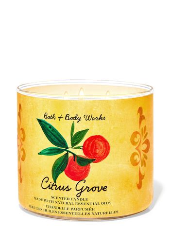 Citrus Grove 3-Wick Candle 三芯蠟燭
