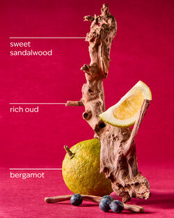 Adrenaline PocketBac Hand Sanitizer image number null