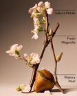 Forever Cherry Blossom Body Butter image number null