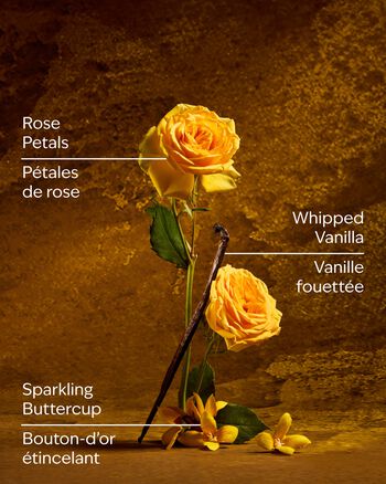 Belle Travel Size Fine Fragrance Mist 旅行裝香氛噴霧