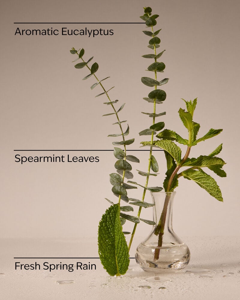 Eucalyptus Rain Concentrated Room Spray 濃縮室內噴霧