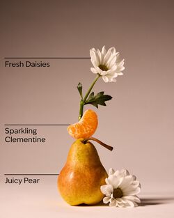 Gingham Fresh Body Wash image number null