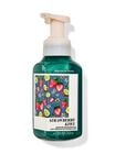 Strawberry Kiwi Gentle & Clean Foaming Hand Soap image number null