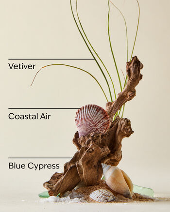 Ocean 3-Wick Candle 3-Wick Candle