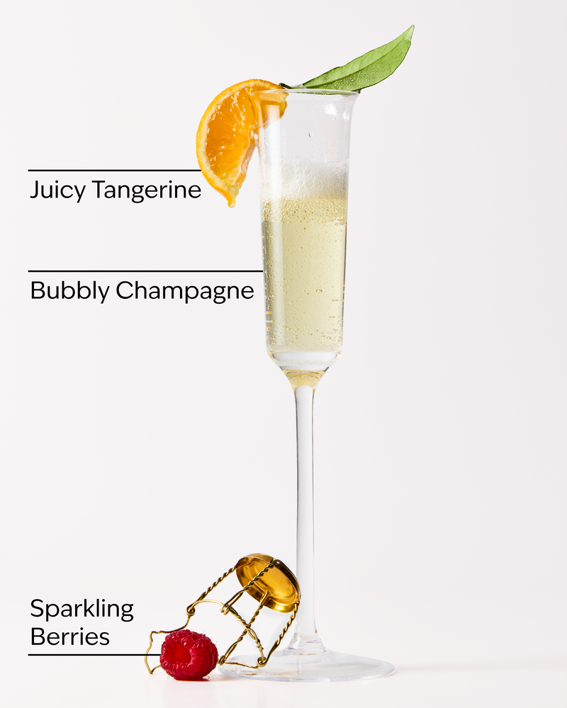 Champagne Toast Gift Set Gift Set