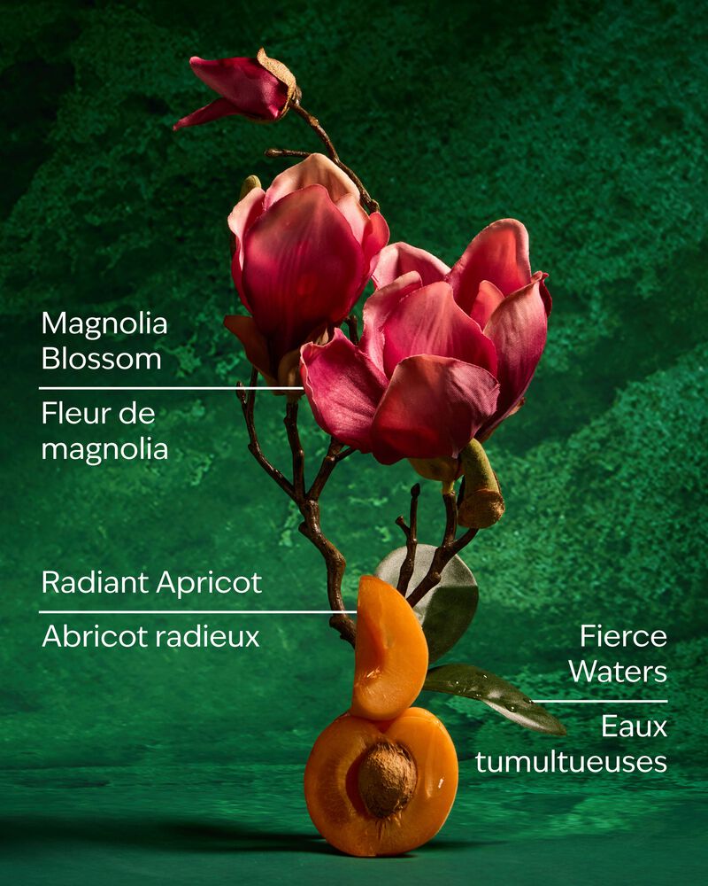 Mulan Gentle & Clean Foaming Hand Soap 溫和泡泡潔手液