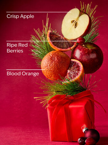 Bright Christmas Morning Mini Gift Box Set 迷你禮物盒套裝