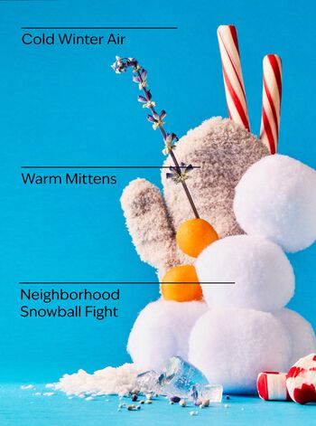 Snowball Fight Wallflowers Fragrance Refill Wallflowers Fragrance Refill