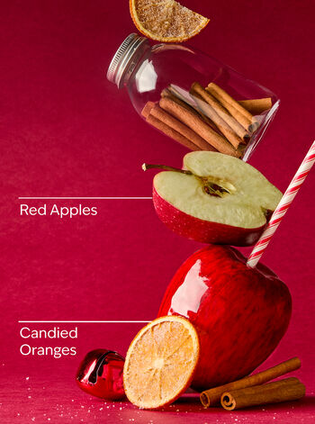 Winter Candy Apple Gentle & Clean Foaming Hand Soap 溫和泡泡潔手液