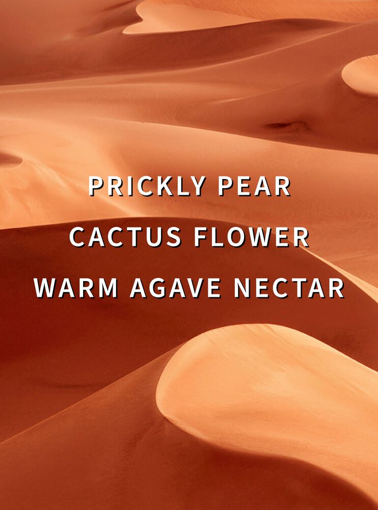 Wild Sand Moisturizing Body Wash 保濕沐浴露